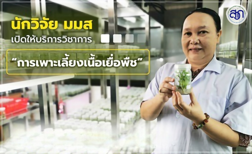 การถ่ายทอดองค์ความรู้งานวิจัย
