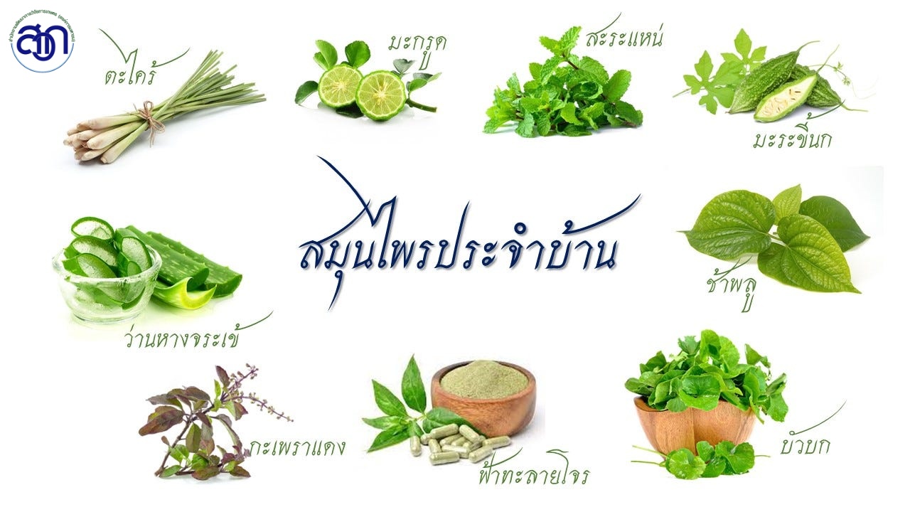 พันธุ์พืชต้านโรคจากงานวิจัย