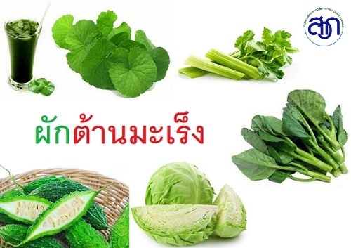 พันธุ์พืชต้านโรคจากงานวิจัย