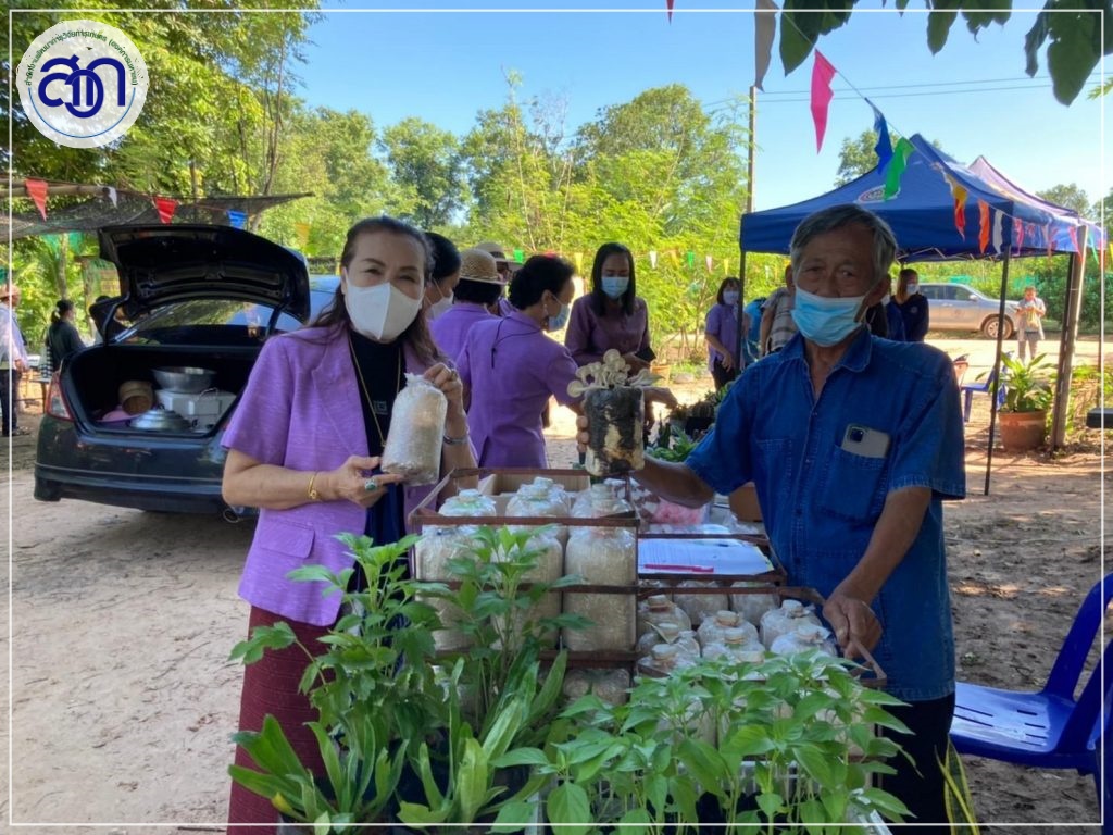 พันธุ์พืชต้านโรคจากงานวิจัย
