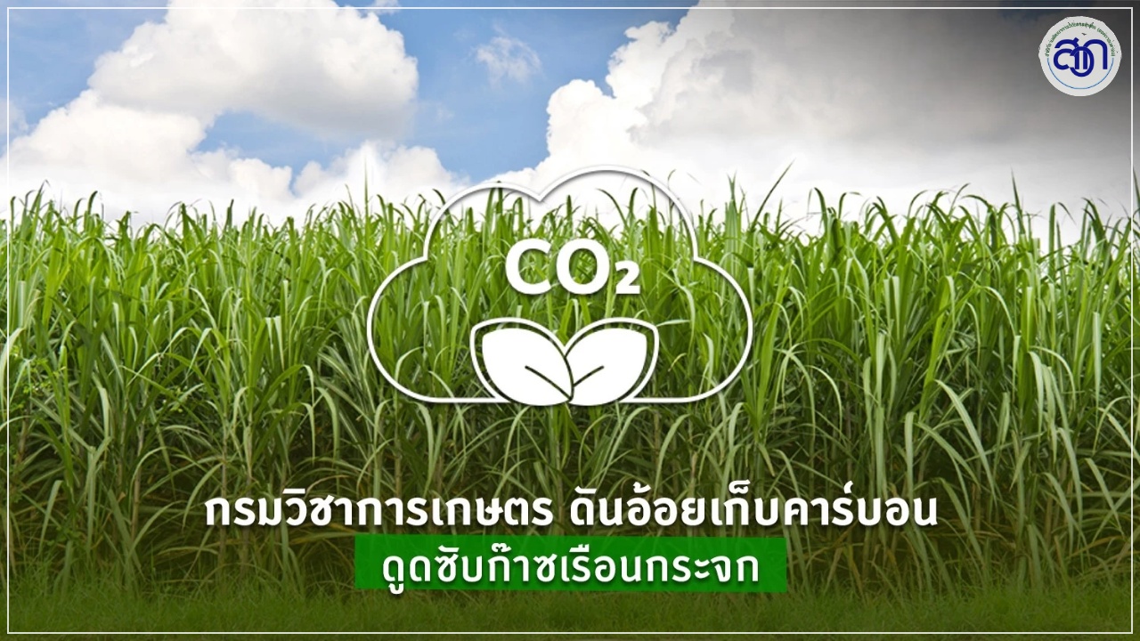 นวัตกรรมลดโลกร้อนภาคเกษตร