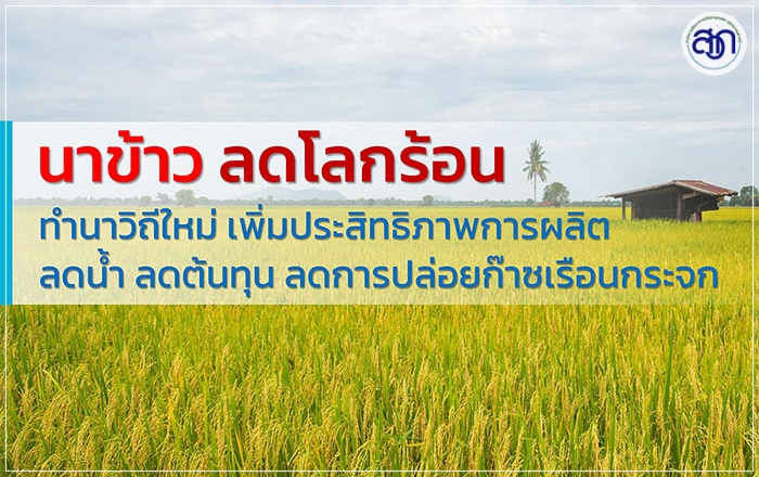 นวัตกรรมลดโลกร้อนภาคเกษตร