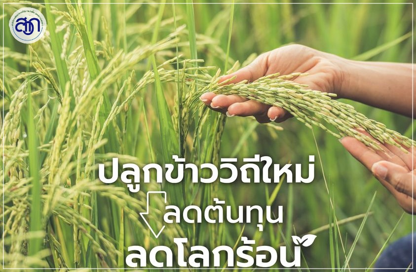นวัตกรรมลดโลกร้อนภาคเกษตร