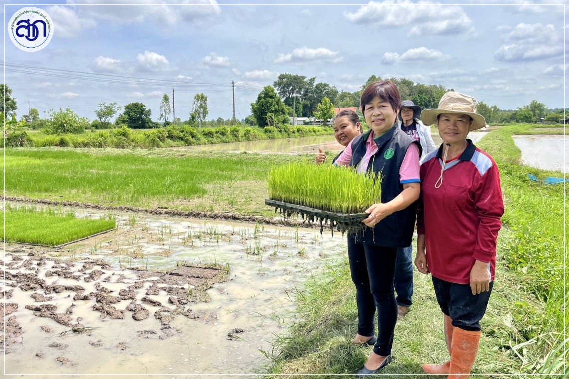 แผนพัฒนาศักยภาพ