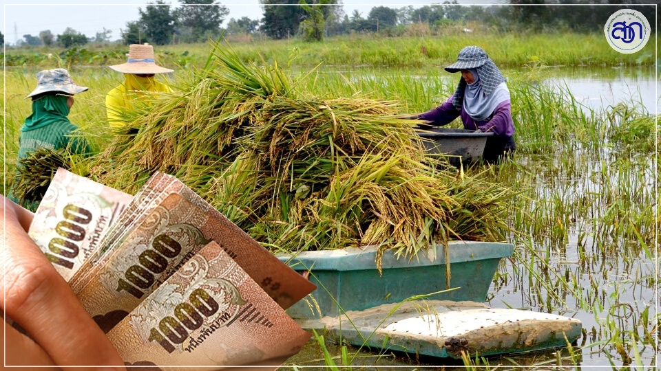 แผนพัฒนาศักยภาพ